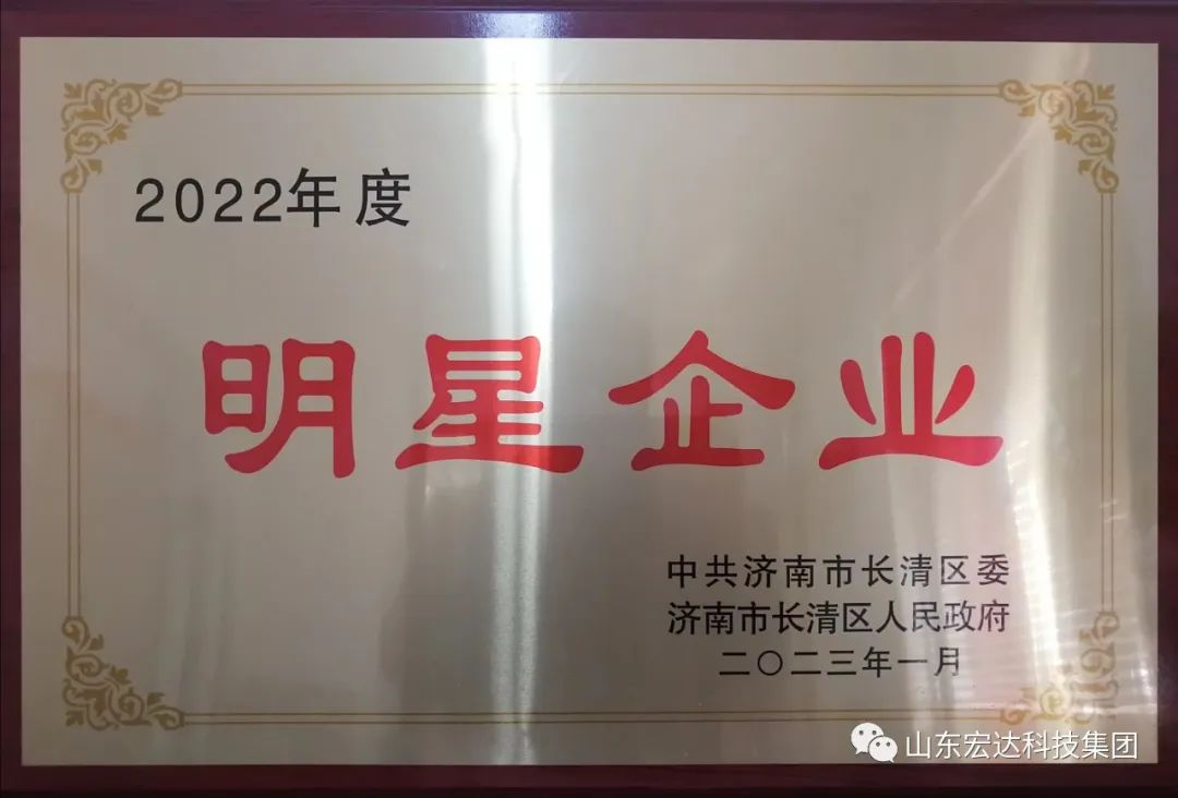 【再耀星坛】开云(中国)再获长清区“明星企业”称号
